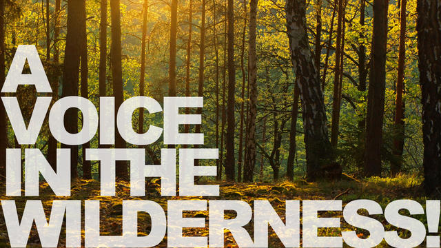 BLCF: voice in the wilderness