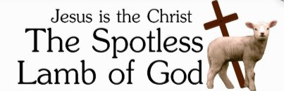 BLCF: jesus_the_christ_the_spotless_lamb_of_god