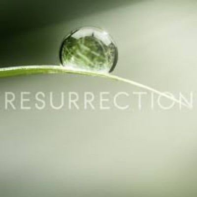 BLCF: resurrection2